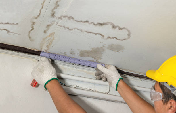 Reliable Water Damage contractor in Longview, WA by Water Damage Irwin